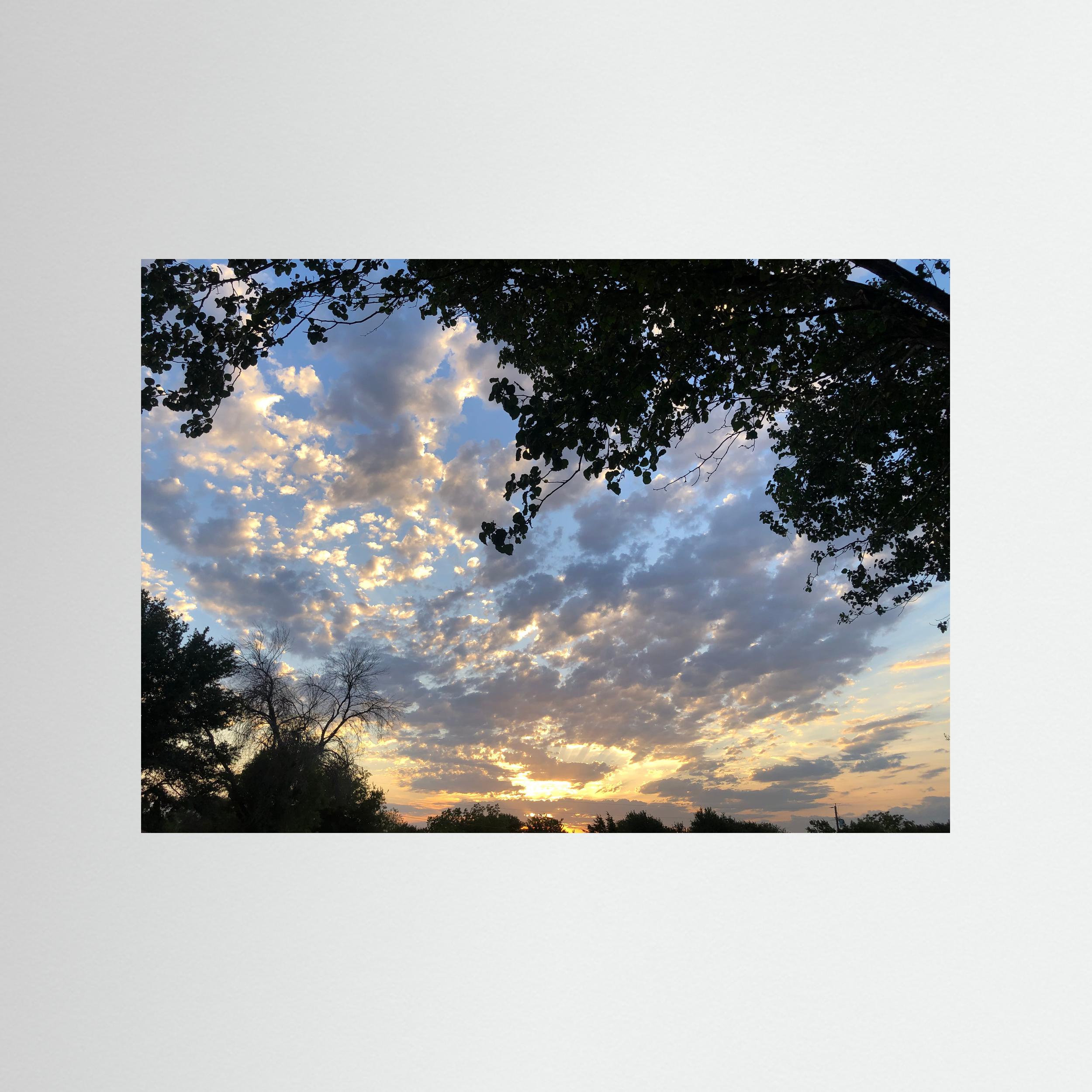 Photographie